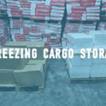 freezing storage service